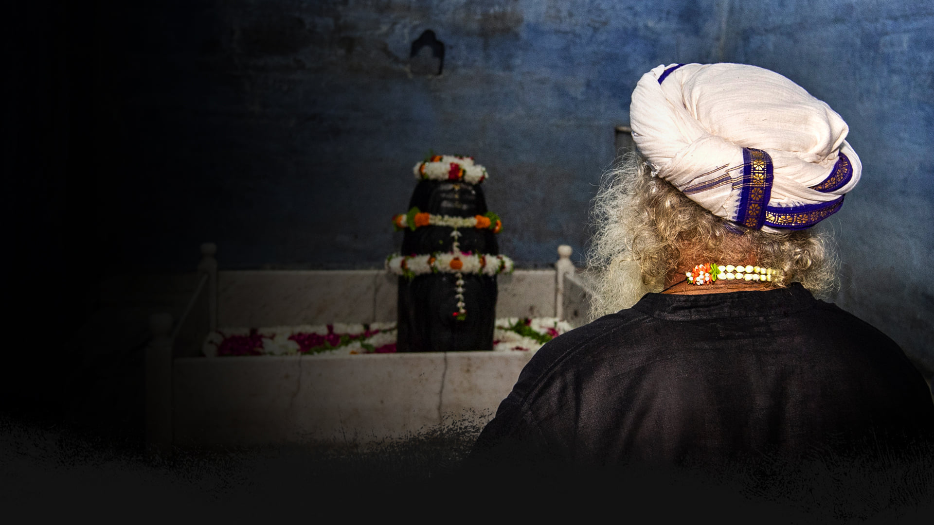 Sadhguru Exclusive